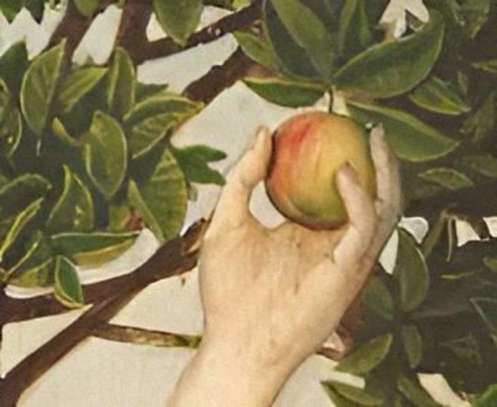 Why Did Adam and Eve Sin? – Join Bible Question Forum